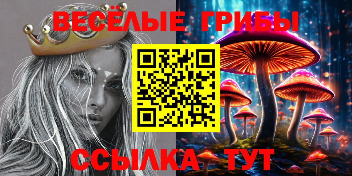 Железногорск  Псилоцибиновые грибы GOLDEN TEACHER  Вход с VPN  Псилоцибиновые грибы GOLDEN TEACHER 