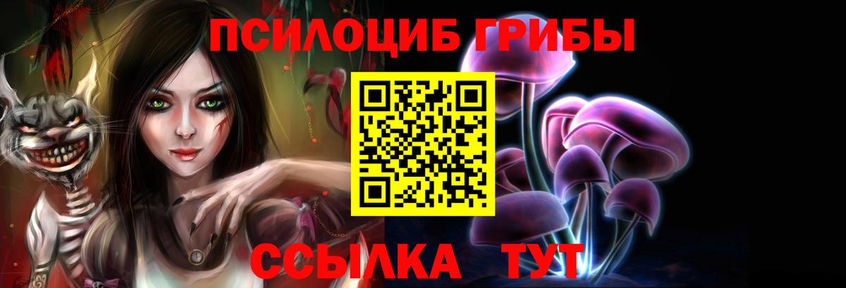 Псилоцибиновые грибы Psilocybe Железногорск